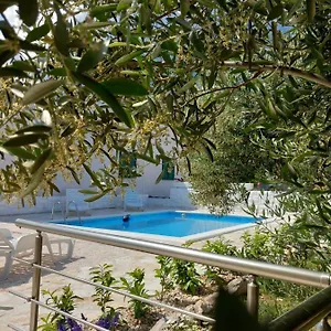  Ferienhaus House M&a&k With Swimming Pool